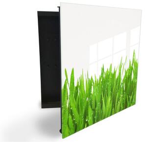 Glasdekor skříňka na klíče - orosená jarní tráva na bílém podkladu - Levé / Černá