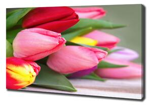 Foto obraz na plátně Barevné tulipány oc-98761222