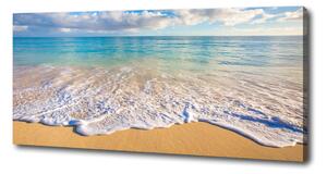 Foto obraz na plátně Havajská pláž oc-98746021