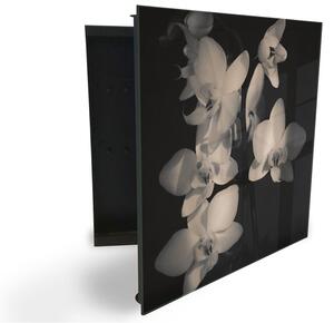 Glasdekor skříňka na klíče - květy bílé orchideje na černém podkladu - Pravé / Bílá