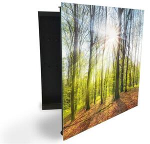 Glasdekor skříňka na klíče - jarní les při východu slunce - Levé / Černá