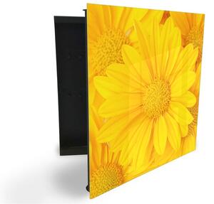 Glasdekor skříňka na klíče - žluté květy pozadí - Levé / Černá