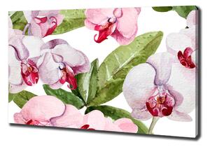Foto obraz na plátně Růžové orchideje oc-98952398