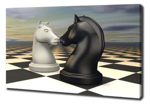 Foto obraz canvas Šachy koně oc-99009038