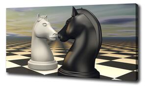 Foto obraz canvas Šachy koně oc-99009038