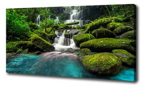 Foto obraz na plátně Vodopád v džungli oc-99201253