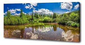 Foto obraz na plátně do obýváku Jezerov lese oc-99700033