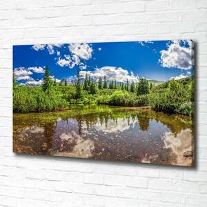 Foto obraz na plátně do obýváku Jezerov lese oc-99700033