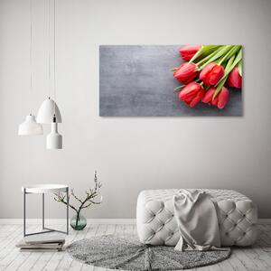 Foto obraz fotografie na skle Červené tulipány osh-99719823
