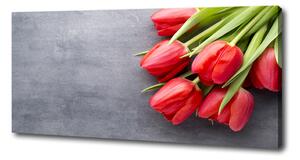 Foto obraz na plátně Červené tulipány oc-99719823
