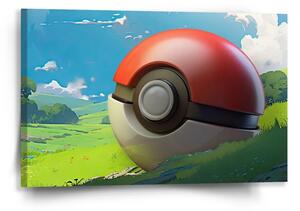 Sablio Obraz Pokemon ball Krajina - 60x40 cm