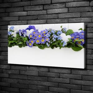 Foto obraz na plátně do obýváku Modré květiny oc-99973378