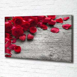 Moderní obraz canvas na rámu Červené růže oc-99989329