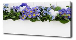 Foto obraz na plátně do obýváku Modré květiny oc-99973378