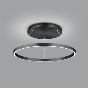 LED závěsné světlo Lisa-D, kruhové, černá