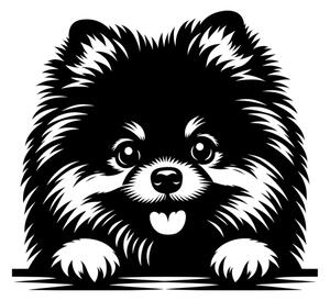 Samolepka pes Pomeranian (německý trpasličí špic)