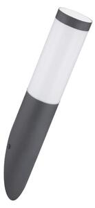Globo 3157A - Venkovní nástěnné svítidlo BOSTON 1xE27/60W/230V