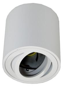 Bodové svítidlo FEBE 1xGU10/30W/230V bílá