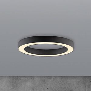 PURE LED stropní svítidlo Lines, Ø 35 cm, grafit, dálkové ovládání, stmívatelný, Černá, Obývací pokoj / jídelna, Hliník, Moderní