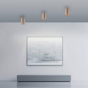 PURE LED stropní svítidlo do koupelny Point, bronzová barva, Ø 6 cm, IP44, stmívatelný, Bronz / starožitná mosaz, Koupelna, kov, Moderní