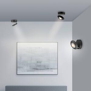 PURE LED stropní svítidlo Oculis, černé, Ø 15 cm, železo/sklo, stmívatelný, Černá, Obývací pokoj / jídelna, Moderní