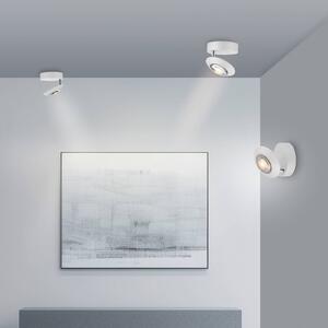 PURE LED stropní svítidlo Oculis, bílé, Ø 15 cm, železo/sklo, stmívatelný, Bílá / opál, Obývací pokoj / jídelna, Moderní