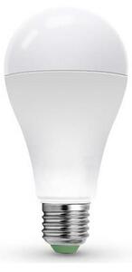 LED Žárovka LEDSTAR ECO A65 E27/20W/230V 4000K
