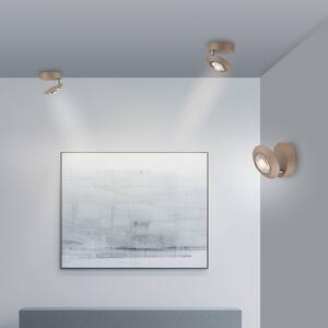 PURE LED stropní svítidlo Oculis bronzová barva, Ø 15 cm železo/sklo, stmívatelný, Bronz / starožitná mosaz, Obývací pokoj / jídelna, Moderní