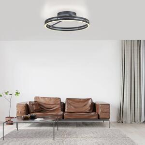 PURE LED stropní svítidlo Loop, šedé, kov, Ø 60 cm,, stmívatelný, Hliník / šedá / zinek, Obývací pokoj / jídelna, Hliník, Moderní, Stropní svítidlo