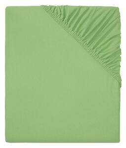 LIVARNO home Žerzejové napínací prostěradlo, 140–160 x 200 cm (zelená) (100363506004)