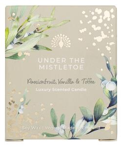 English Soap Company Under The Mistletoe