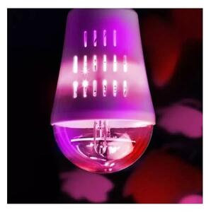 Wofi 9744 - LED Dekorační žárovka BUTTERFLY E27/4W/230V
