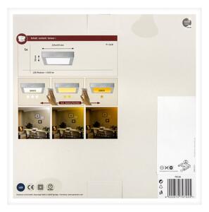 Paulmann 79794 - LED/13W Stropní svítidlo CARPO 230V 2300/2500/3000K