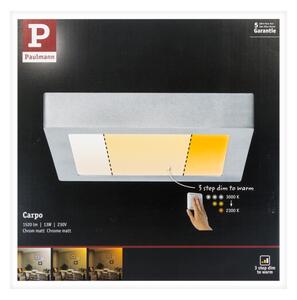 Paulmann 79794 - LED/13W Stropní svítidlo CARPO 230V 2300/2500/3000K