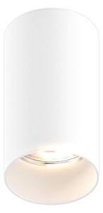 Zuma Line 92679-N - Bodové svítidlo TUBA SL 1xGU10/50W/230V bílá