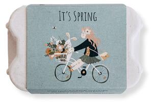 Dárková sada semínek divokých květin Egg Box Hello Spring Bike – 6 ks