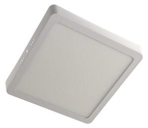 LED Stropní svítidlo GERRY LED/12W/230V 3000K bílá