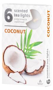 Čajové 6ks coconut vonné svíčky