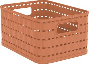 ÚLOŽNÝ BOX plast Rotho - Boxy