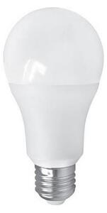 LED Žárovka PITT A60 AC/DC E27/12W/24V 4000K