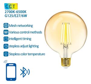 LED Žárovka FILAMENT G125 E27/6W/230V 2700-6500K - Aigostar