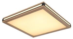 Globo GLB41589D2 LED přisazené stropní svítidlo CARLA | 24W integrovaný LED zdroj | 1340lm | 3000K