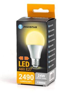 LED Žárovka A60 E27/24W/230V 3000K - Aigostar