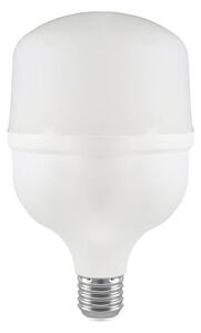 LED Žárovka T100 E27/30W/230V 4000K