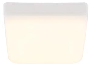 Globo 12388-8W - LED Stropní svítidlo MATTHEW LED/8W/230V bílá