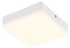 Globo 12388-8W - LED Stropní svítidlo MATTHEW LED/8W/230V bílá