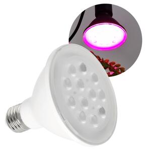 LED Žárovka pro růst rostlin VITABLOOM E27/9W/230V 1200K bílá - Brilagi