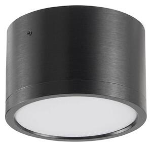 LED Stropní svítidlo MIRELLA 1xGX53/6W/230V černá
