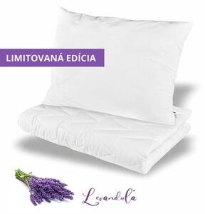 Levandulový set přikrývky a polštáře 140x200 + 70x90 Harmony EMI