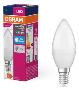 LED Žárovka VALUE B40 E14/4,9W/230V 6500K - Osram